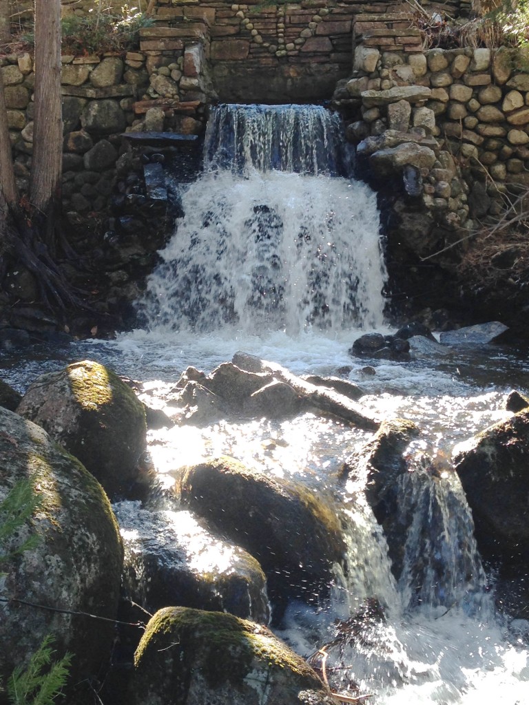 Empty Nester's Journey