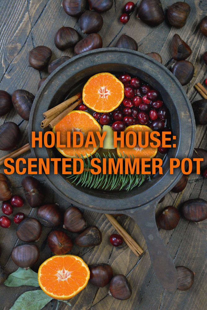 Holiday House- Festive Scented Simmer Pot ciaochowbambina.com