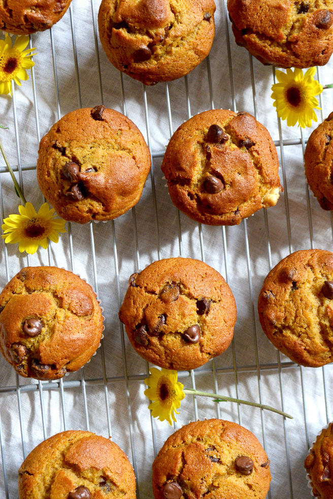 pumpkin-chocolate-chip-bacon-muffins ciaochowbambina.com