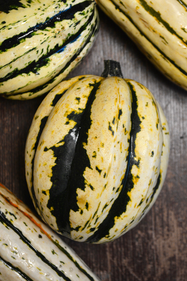 roasted-delicata-squash-with-brown-sugar-and-onions www.ciaochowbambina.com