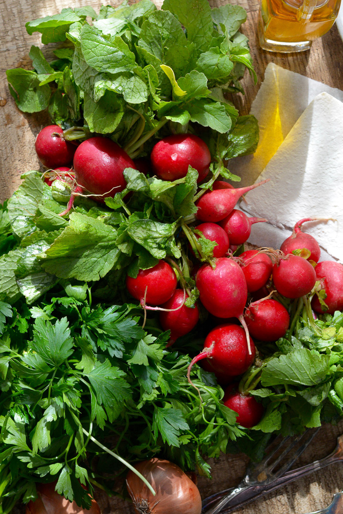 Radish and Parsley Salad with Ricotta Salata ciaochowbambina.com