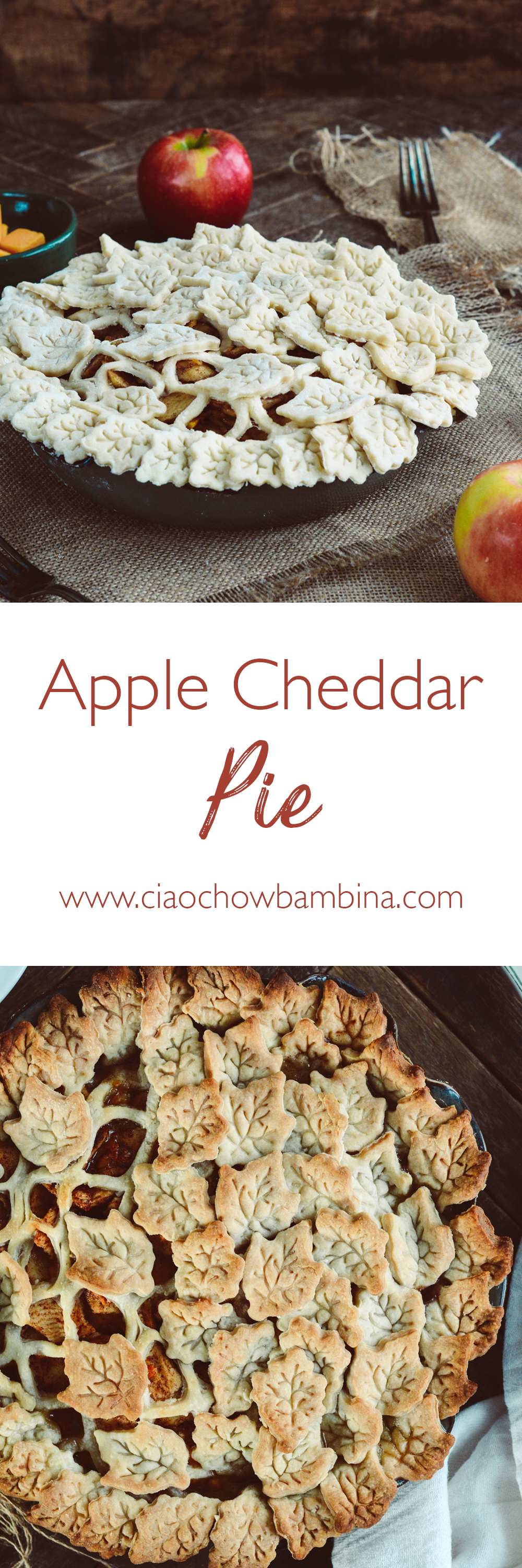 Apple Cheddar Pie ciaochowbambina.com