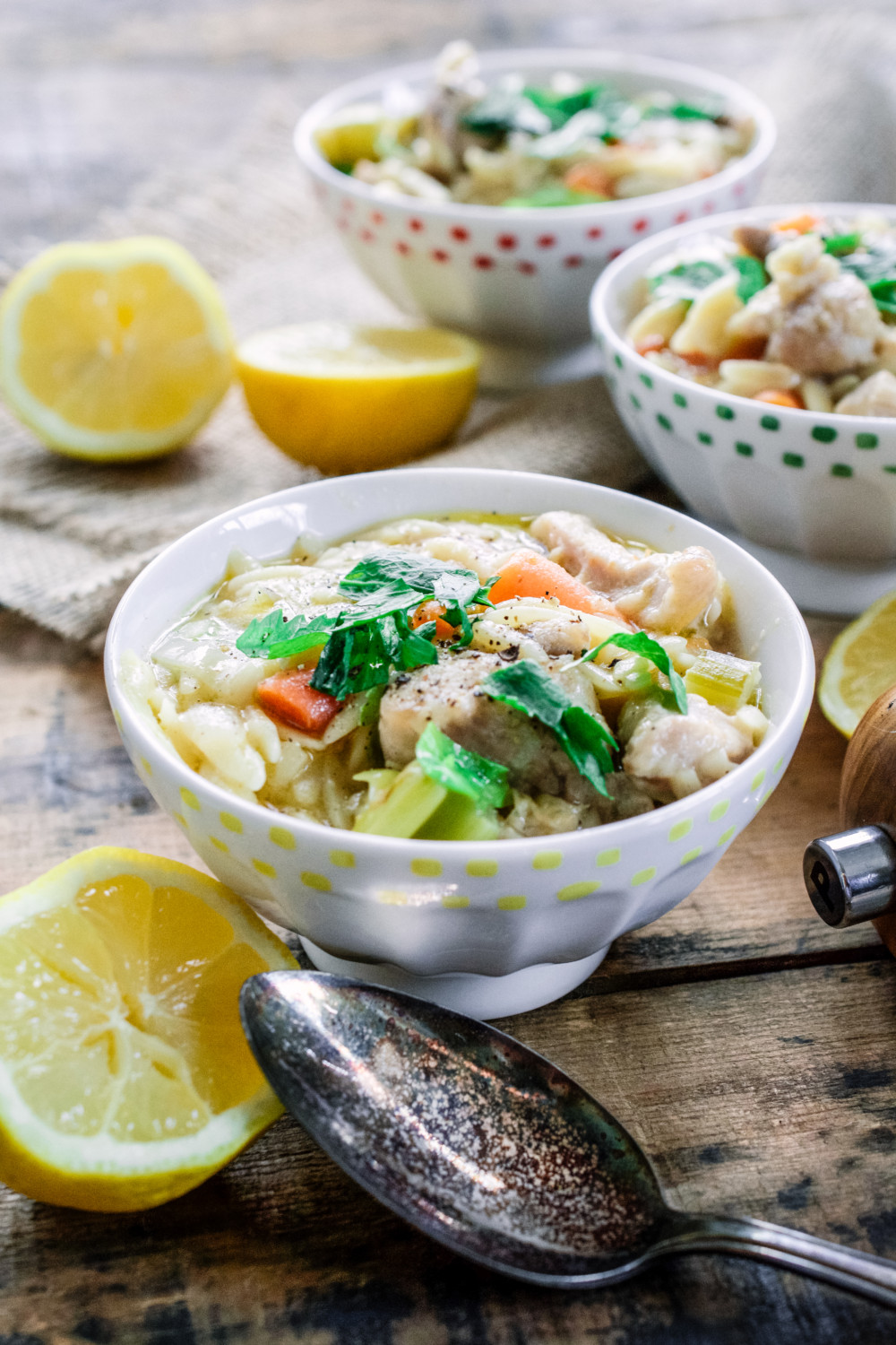 Hearty Lemon Chicken Stew